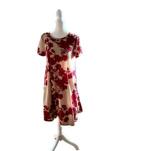 Lularoe Dress size Small